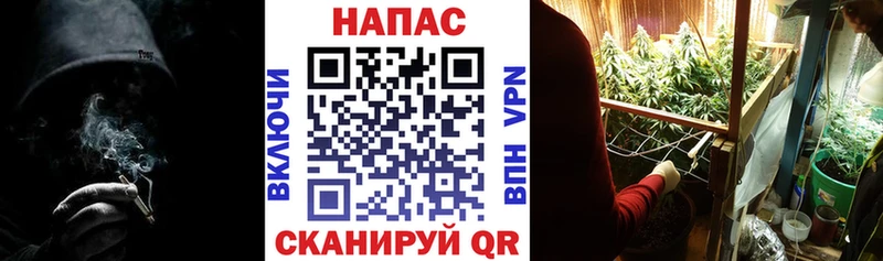 Купить где  Лобня  Марихуана VHQ 
